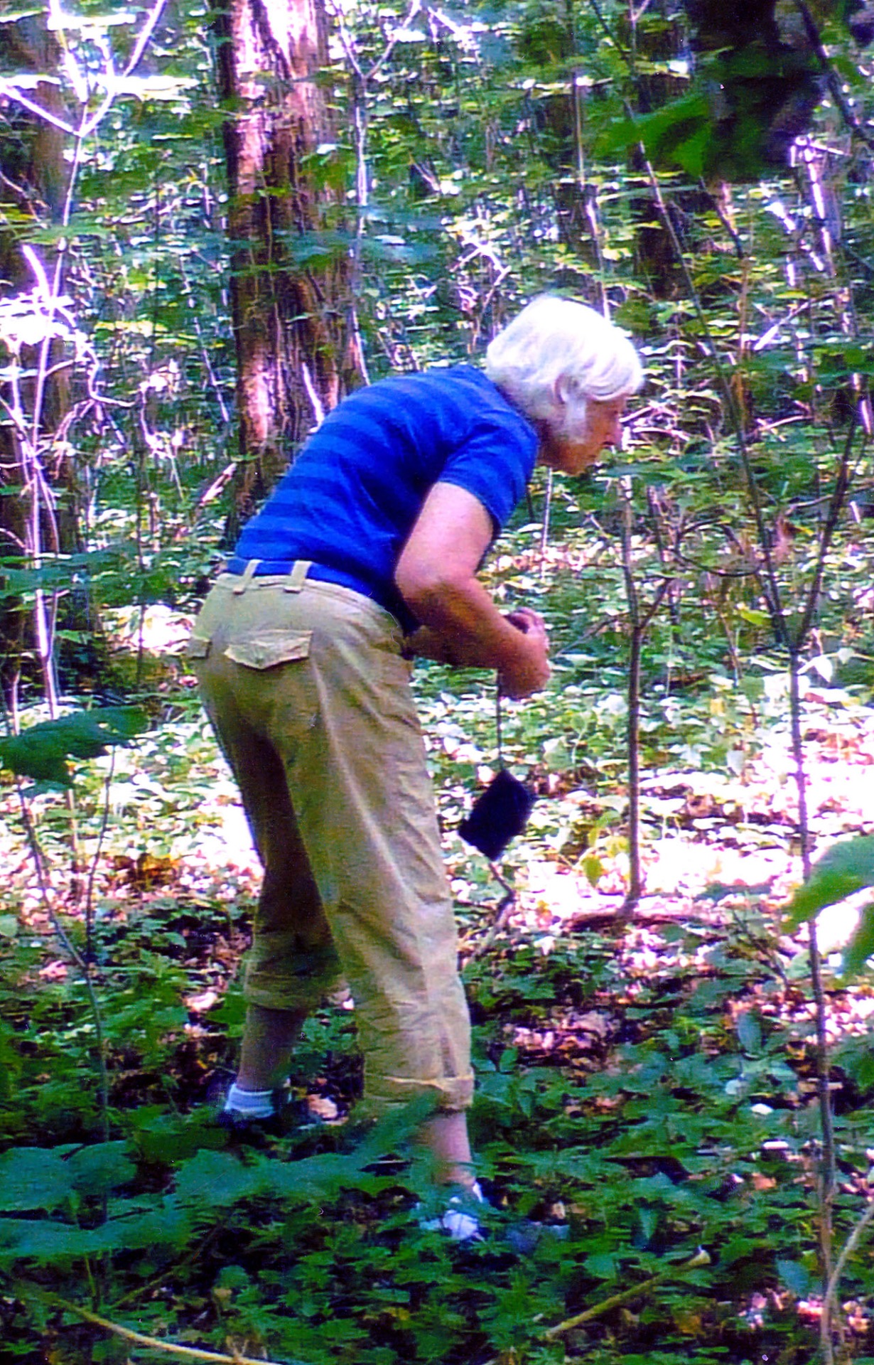 Auf der Suche nach der nur verstreut vorkommenden Türkenbund-Lilie im Sauerland; alle Fotos: Ralf Heidrich, 2016